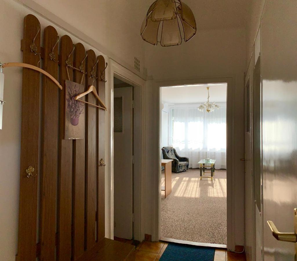 Cozy Apartment In The City Centre Next To Dom Square Szeged Esterno foto