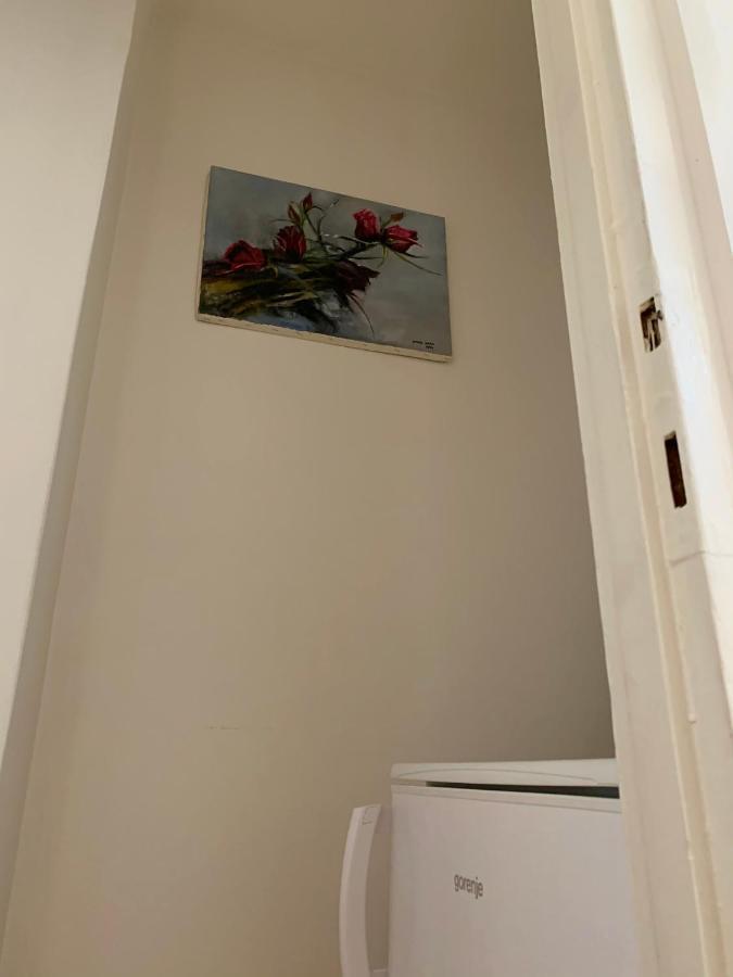 Cozy Apartment In The City Centre Next To Dom Square Szeged Esterno foto