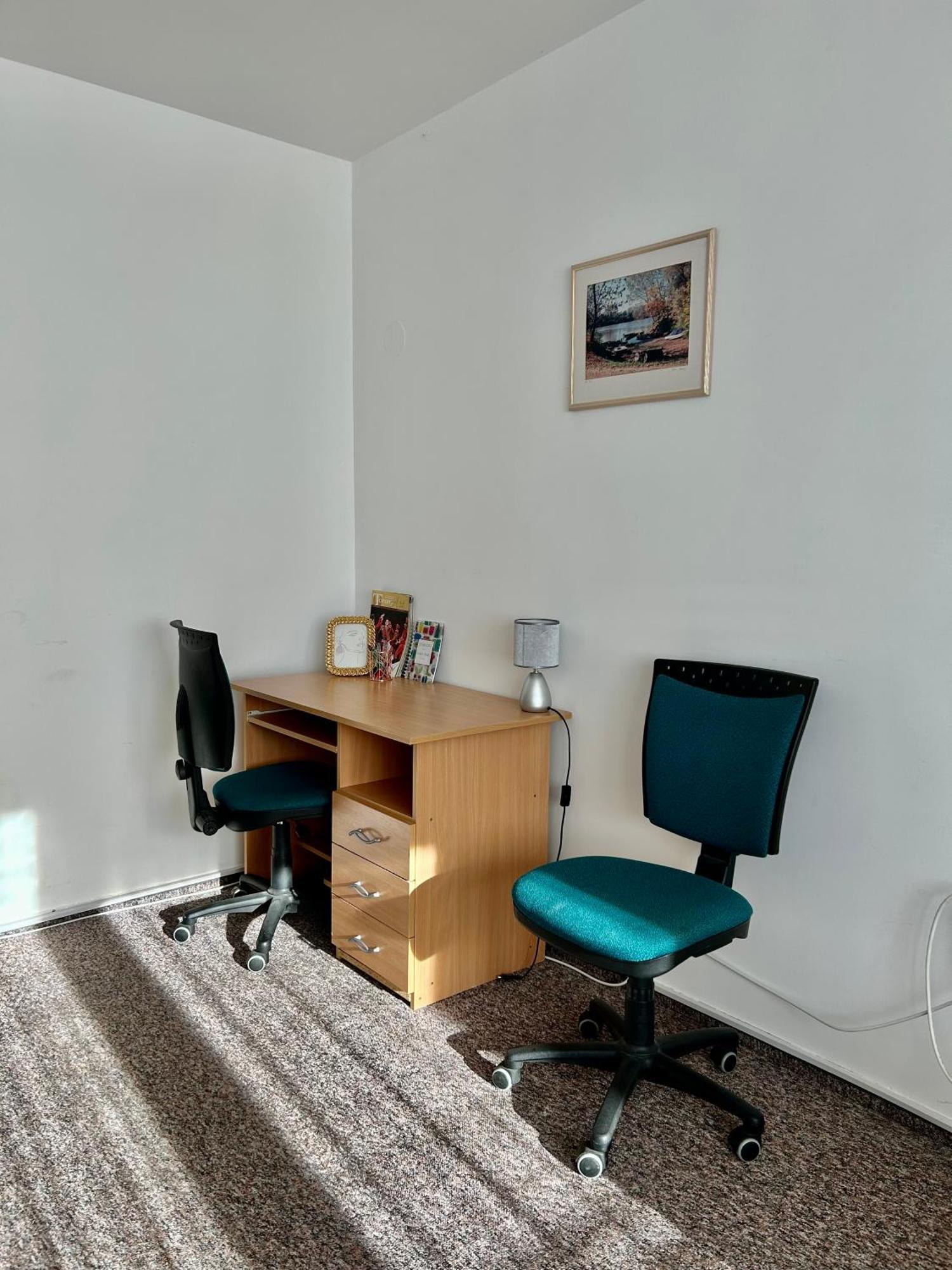 Cozy Apartment In The City Centre Next To Dom Square Szeged Esterno foto
