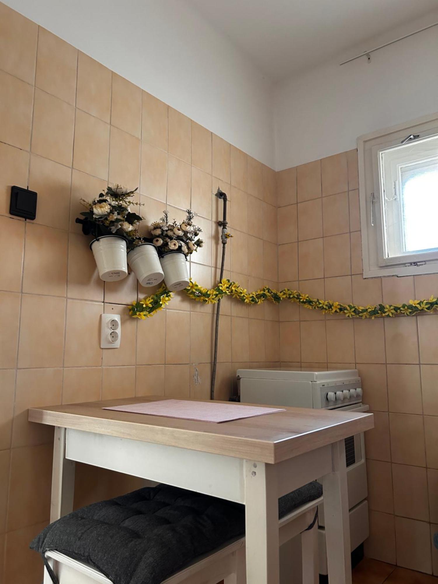Cozy Apartment In The City Centre Next To Dom Square Szeged Esterno foto